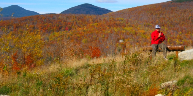 Play partner (Mikey) enjoying a leaf peeping break at Sunday River