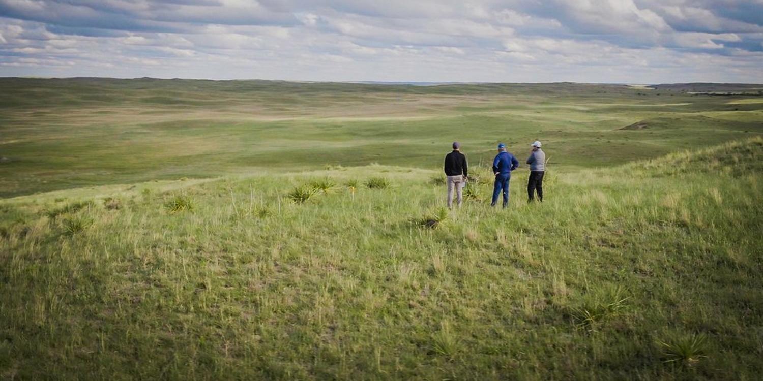 Dormie Network announces David McLay Kidd as course architect for new course, GrayBull