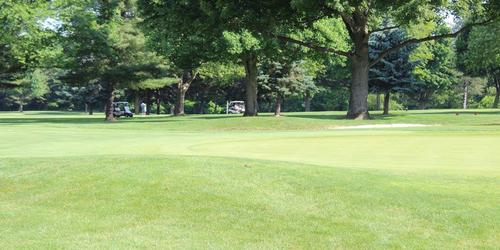 Shady Hollow Country Club Golf Package