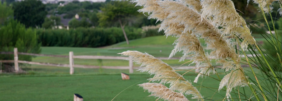 Blackhawk Golf Club