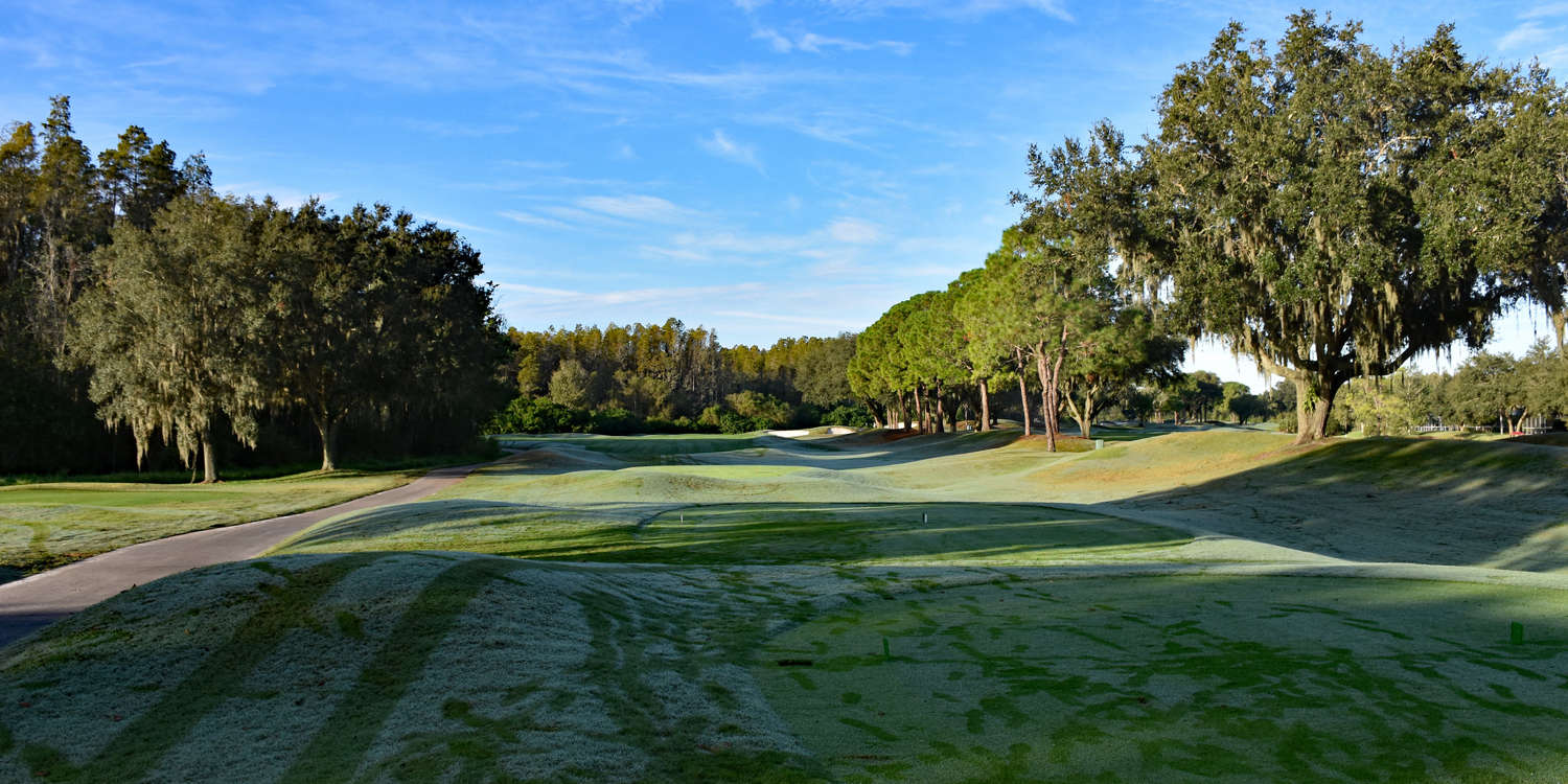 TPC Tampa Bay